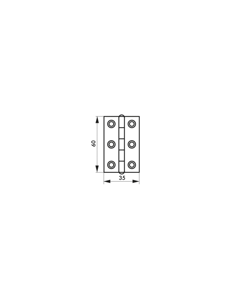Cerniera per porta 60 x 35 mm, ottone – THIRARD