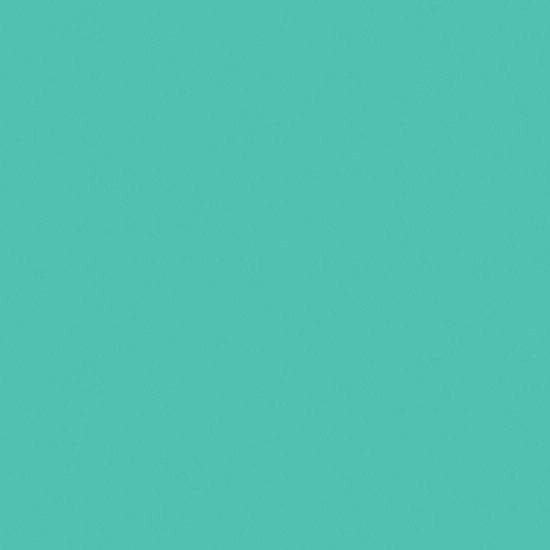 Papier Cardstock a Menta per Mint Julep - Basics 

25 pezzi