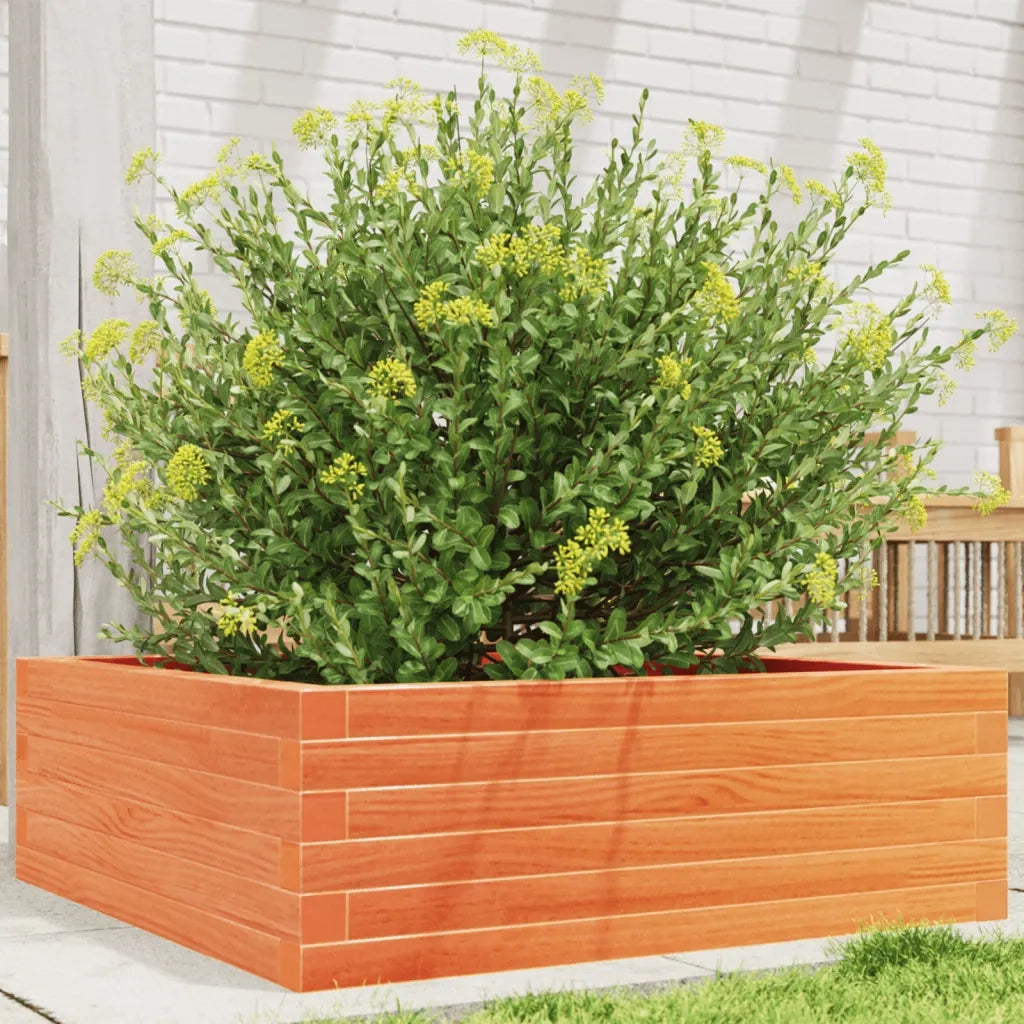 Fioriera | Cassetta per fiori | Vaso Giardino Marrone Cera 70x70x23 cm Legno Massello Pino
