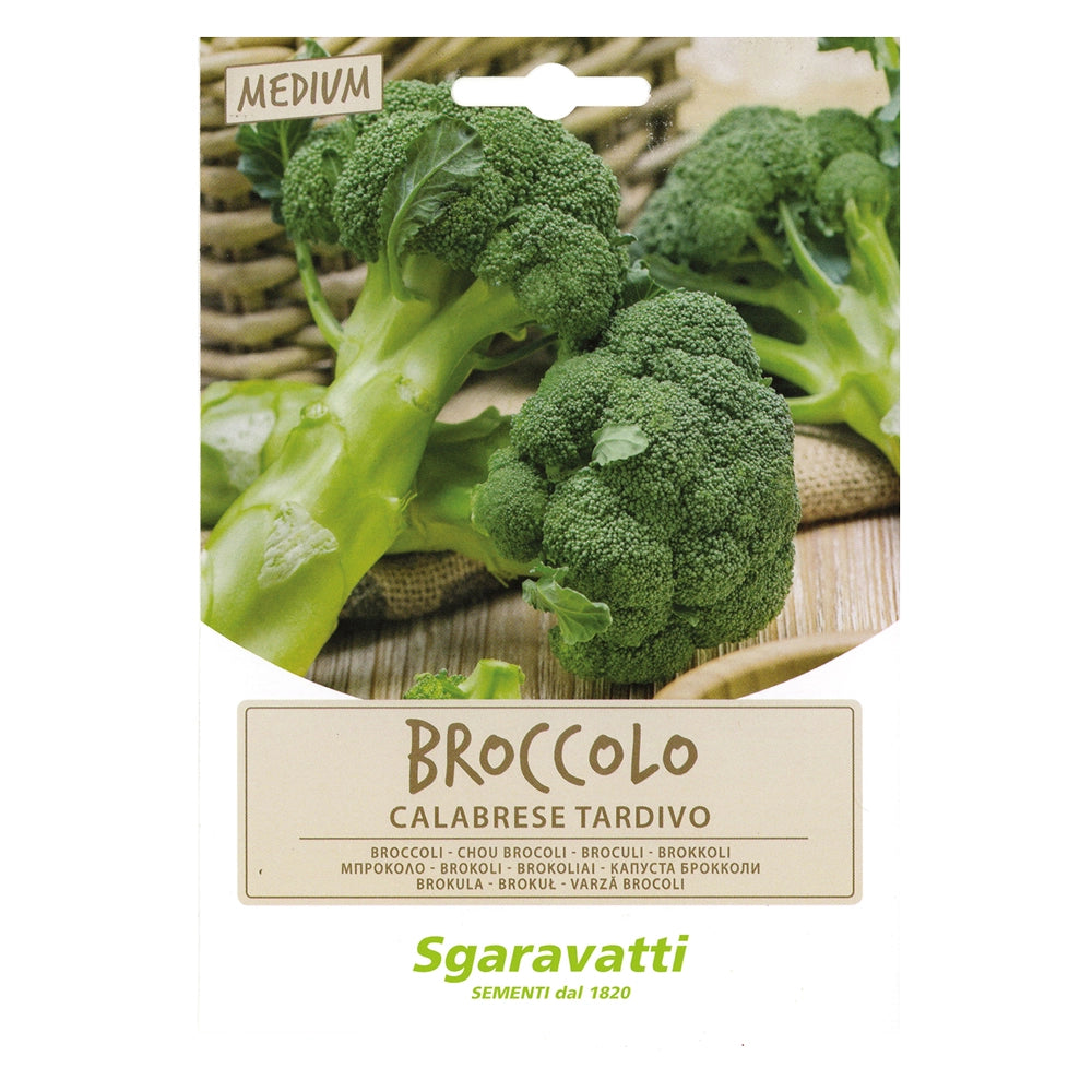 SEMI PER ORTAGGI E VEGETALI broccolo ramoso calabrese tardivo- 20 pezzi  - SGARAVATTI