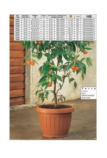 Vaso da terra per piante e fiori colore terracotta 40 cm bama