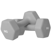 Set 2 Manubri Esagonali 6 kg, Antiscivolo, Delicati sul Pavimento, Grigi
