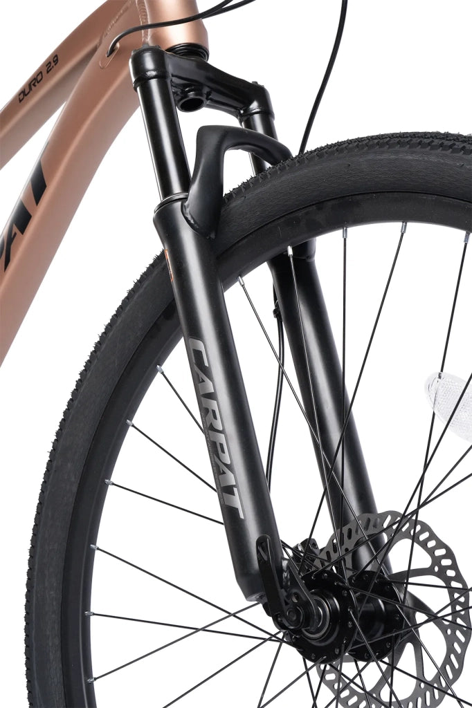 Bici MTB Hardtail 29", telaio alluminio, forcella 80mm, freni a disco idraulici, cambio Shimano Altus 1x9, gomme all-terrain, uomo 175-190 cm
