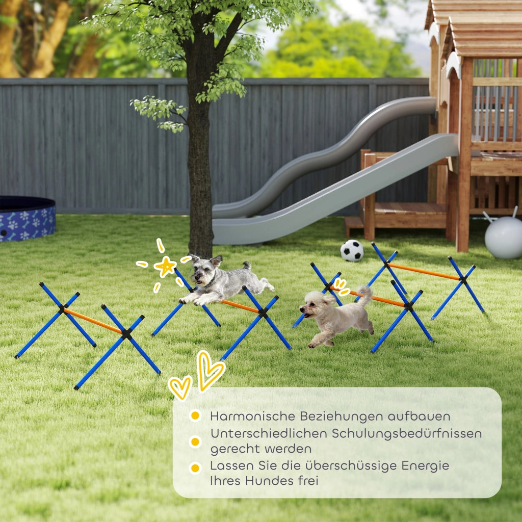 Set Agility per Cani ¨C Minimal ¨C 4 Pezzi con H¨¹rden e Tragetasche