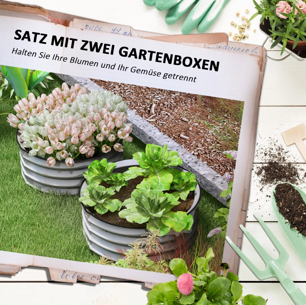 Set 2 Cassette da Giardino in Metallo con Fondo Aperto per Erbe e Verdure Ø60x30 cm Argento