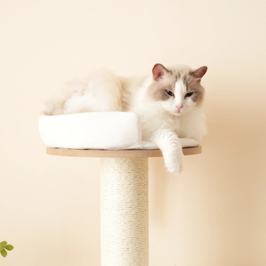 Tiragraffi per gatti a 3 livelli con cuccia colonne da 12 cm cuscini rimovibili MDF marrone bianco 60 × 48 × 135 cm