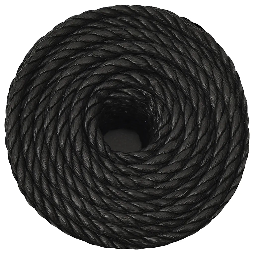 Corda da Lavoro Nera 14 mm 25 m in Polipropilene 153021