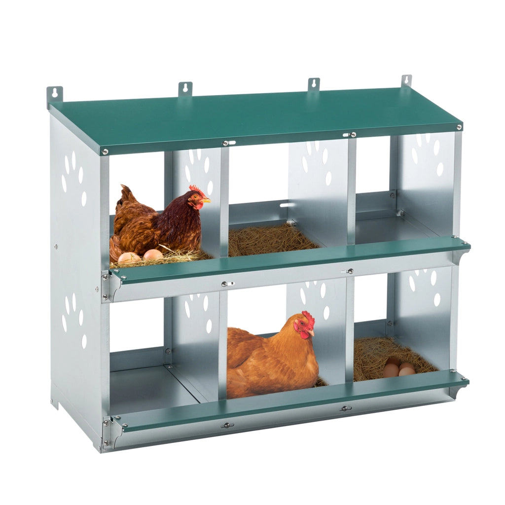 Nido per galline a 6 scomparti con design a 86¡ã per il rotolamento delle uova: i nidi individuali con fondo inclinato facilitano la raccolta e