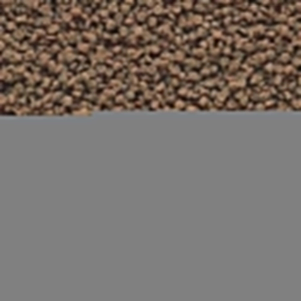 Hikari Tropical Micro Wafers - Alimento Completo Ideale per  Specie Vivipare Ciclidi e Pesce Gatto Formato: 45 gr