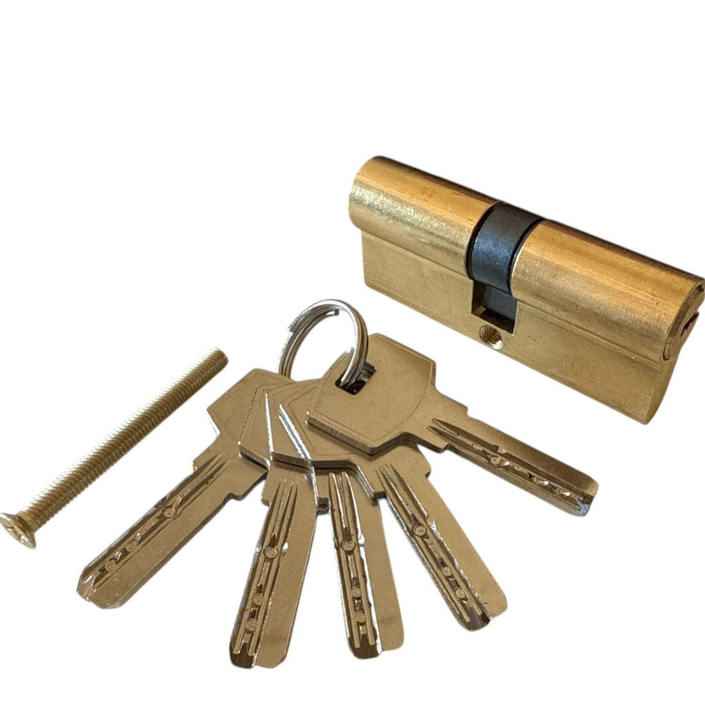 Serratura Cilindro Sicurezza Per Serrature da 60mm Con 5 Chiavi Lucchetto Porta