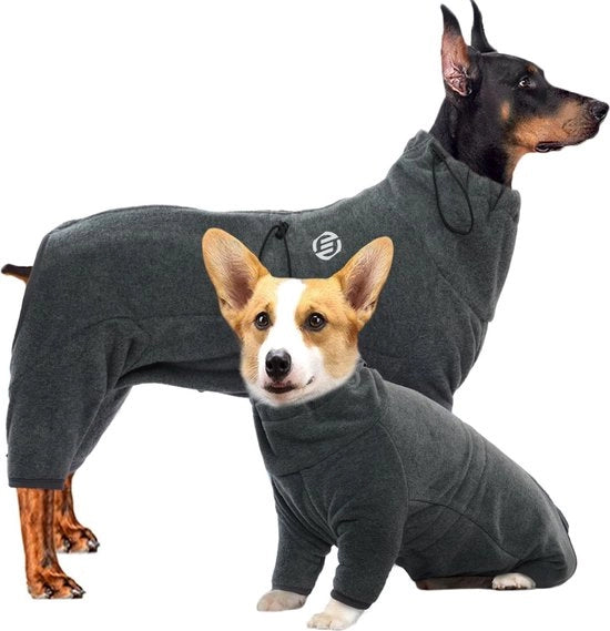 Vestiti da Notte per Cani