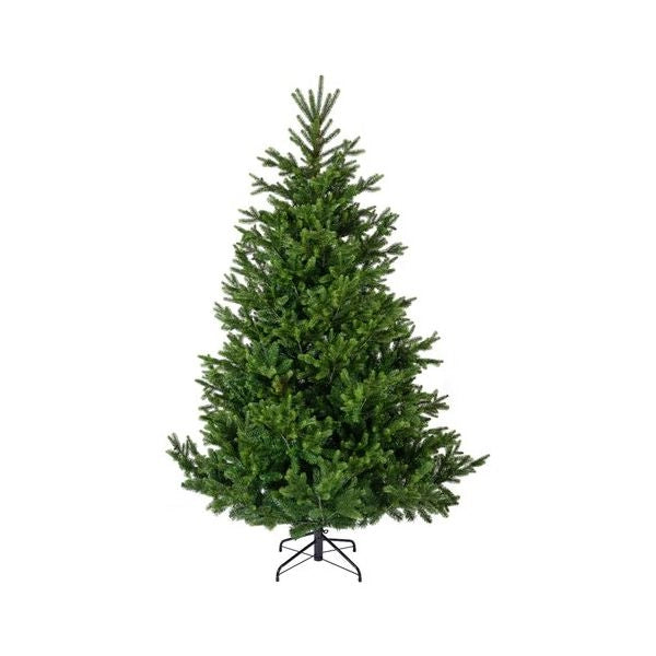 Albero natale amicasa 9684306 nordmann