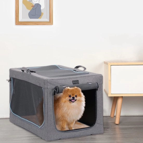 Ren per Cani e Gatti – Bicampero – Opvouabile – Amichevole per Animali di Compagnia – Ren per Cuccioli