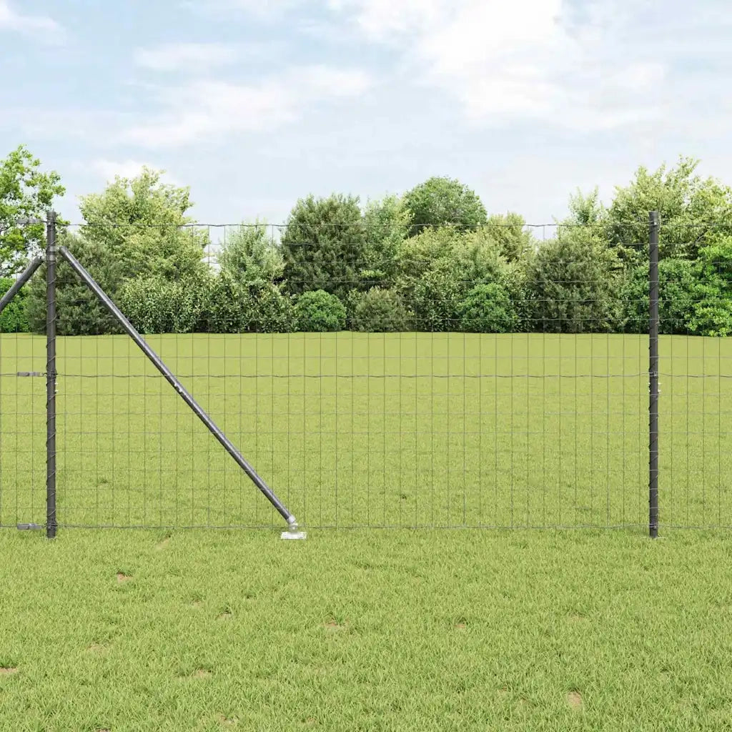Recinzione con Posto Grigio 1,2 x 25 m Acciaio