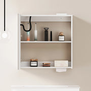 Armadio Specchio LED da 60 cm con Illuminazione Integrata e Ripiani, per Bagno, Soggiorno e Camera