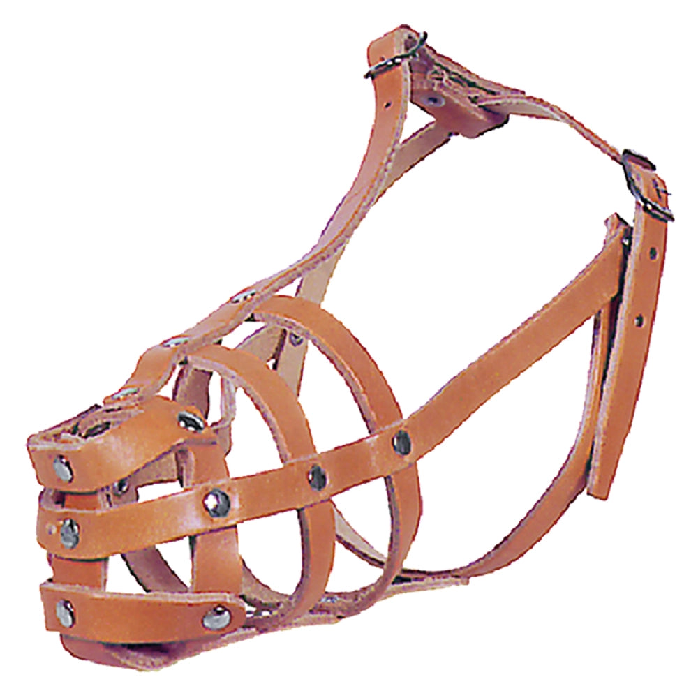 MUSERUOLA PER CANE N. 7  - BricoGo