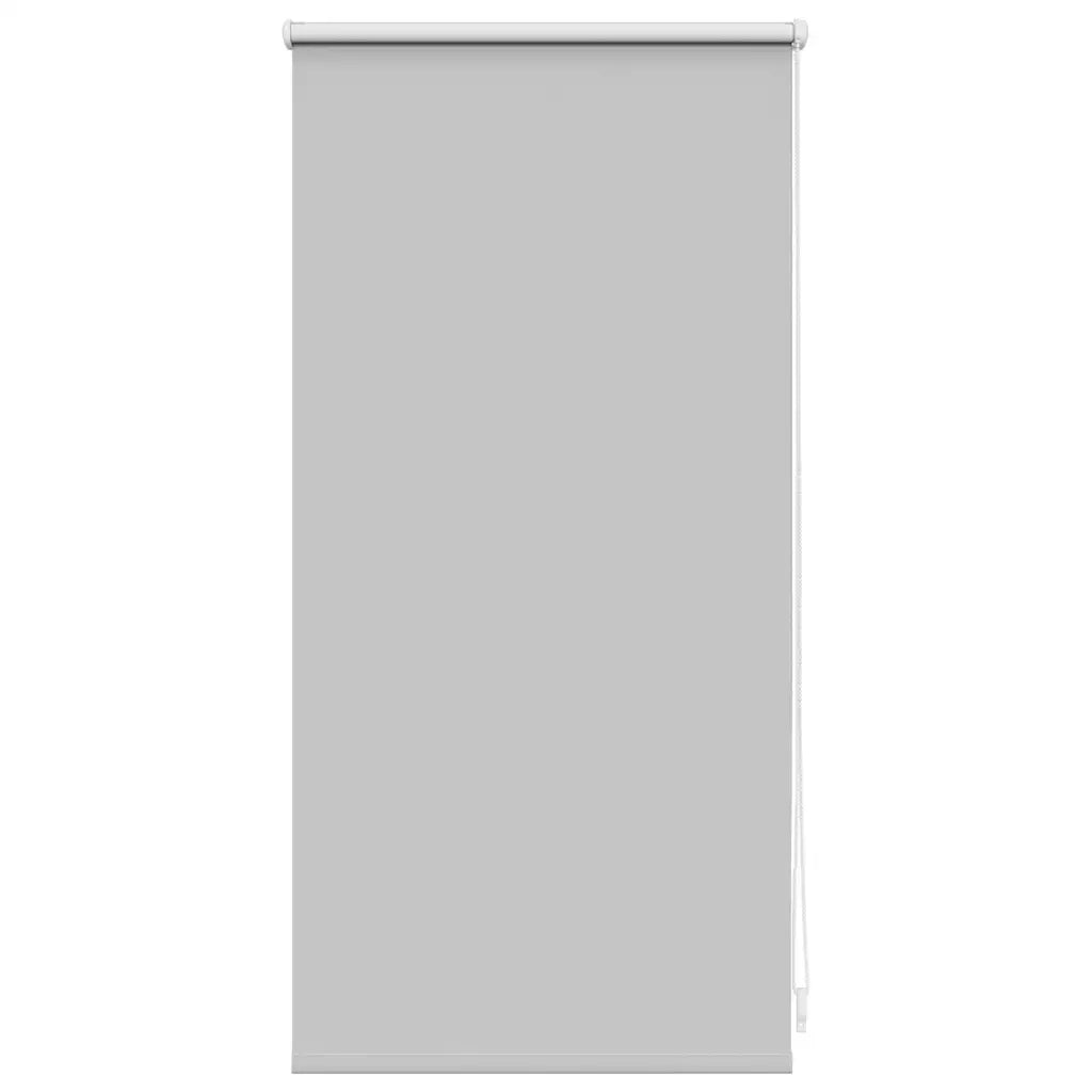 Tenda a rullo oscurante 44,4x100 cm Grigio 240738