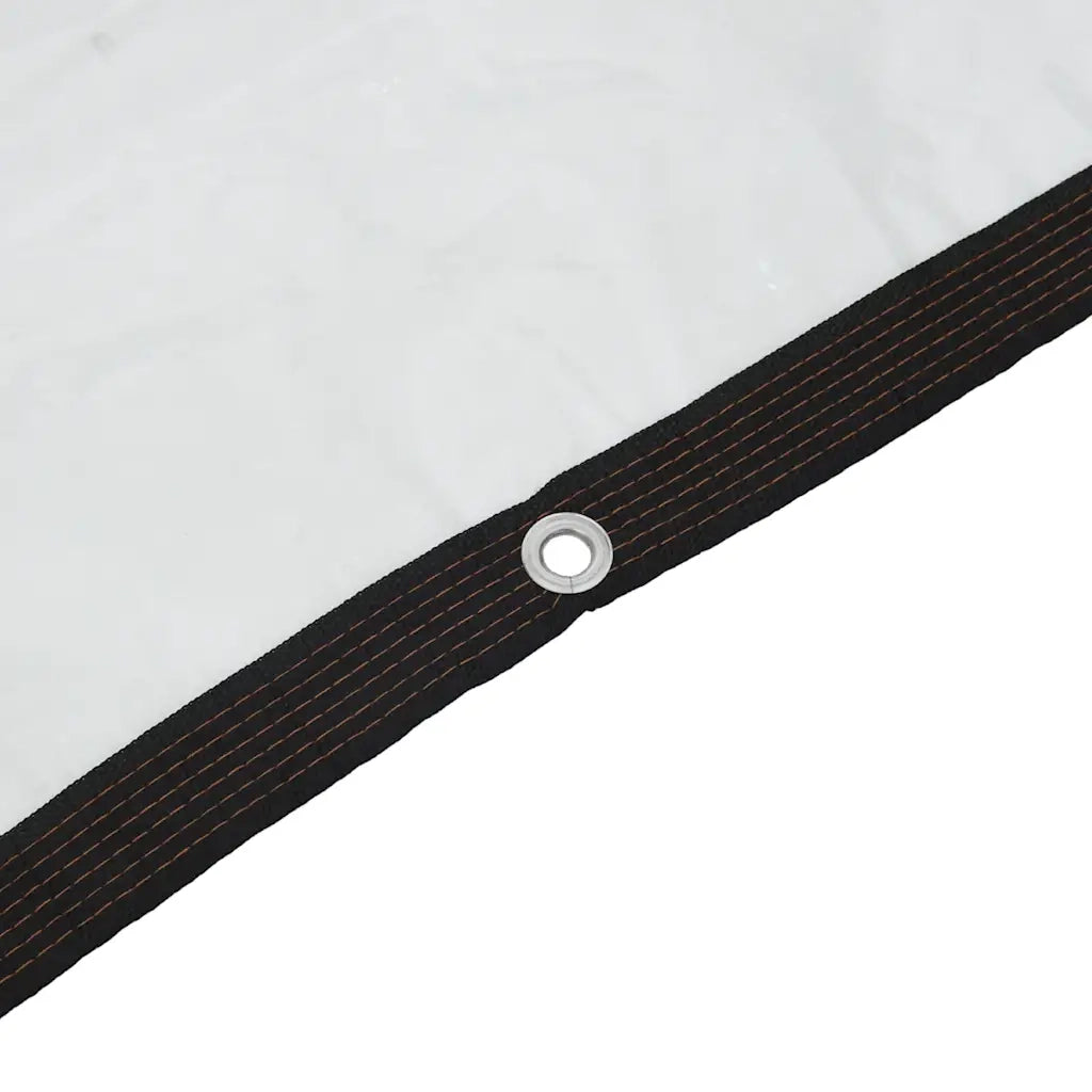 Telone Trasparente con Occhielli 1x8 m in Polietilene