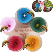 Set di bicchieri per insetti - Api - Set B