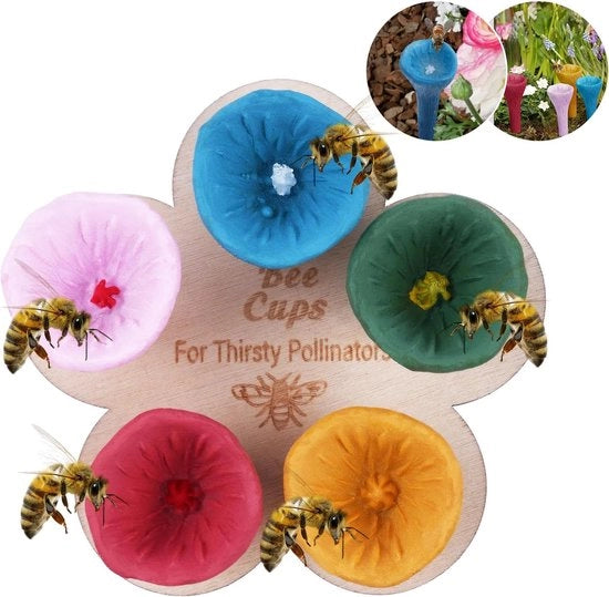Set di bicchieri per insetti - Api - Set B