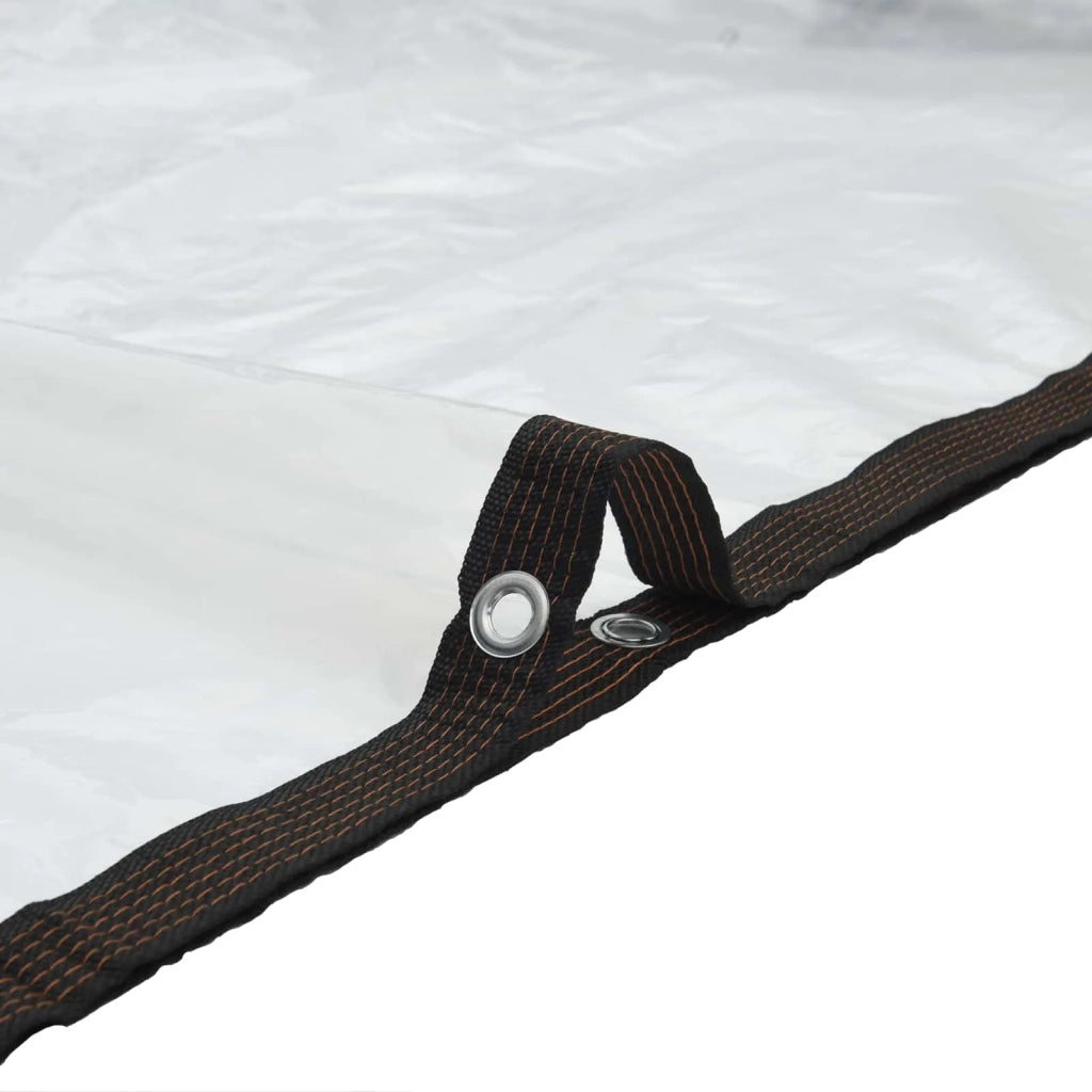 Tarp Trasparente 2,5 x 1,5 m PE 42038947
