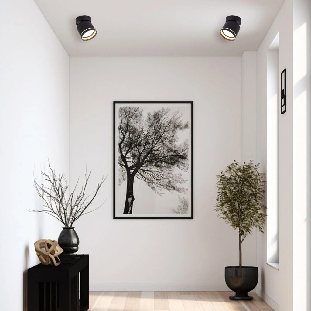 Faretto plafoniera Kendal nero orientabile Ø8,2 GX53
