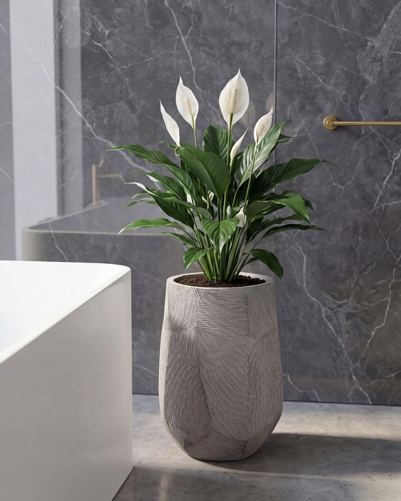 Vaso per piante in cemento e fibra di vetro grigio 28 x 45 cm da interno ed esterno