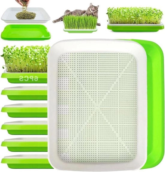 6 pezzi di scatola per semi per orto - 32 x 24 cm - set di scatole per semi per mungo, alfalfa, trifoglio - Scatole per semi nutrienti per uso domestico