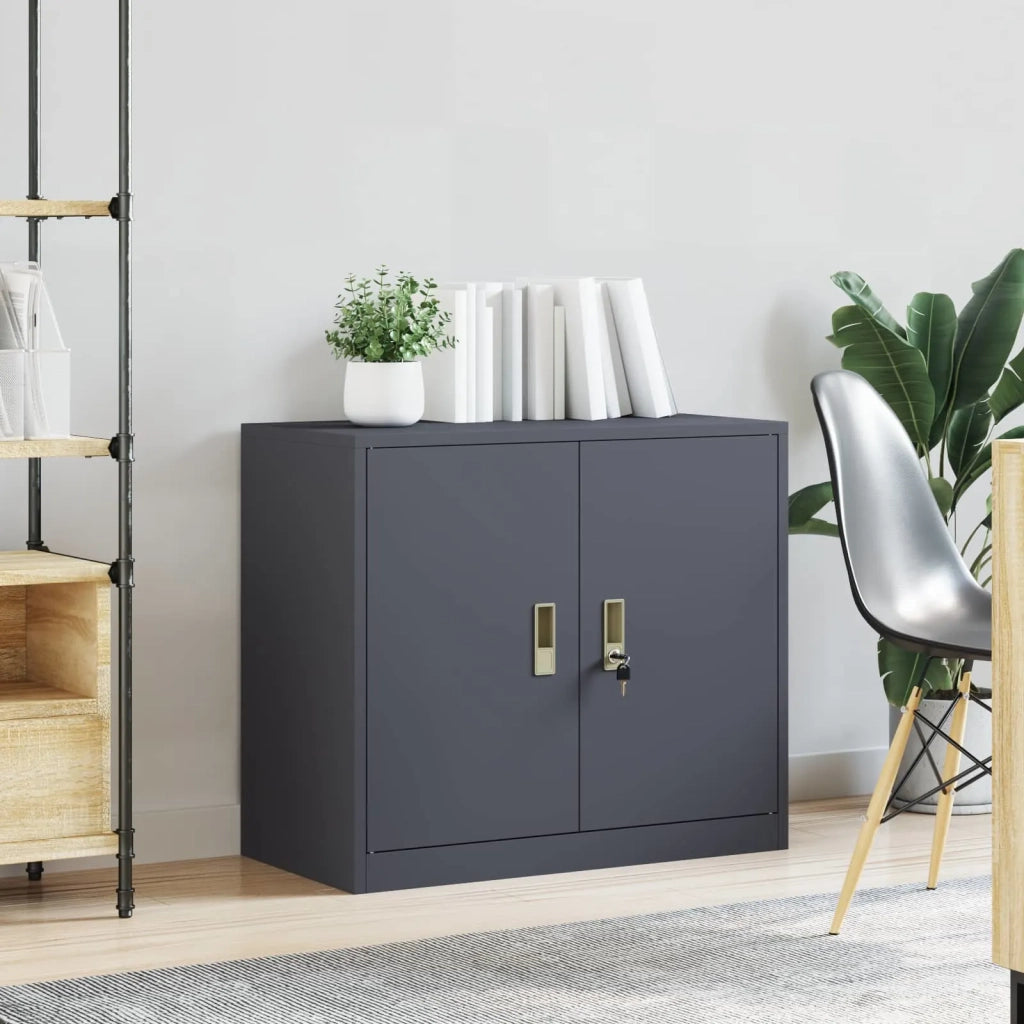 Armadio Antracite 80 x 40 x 70 cm Acciaio