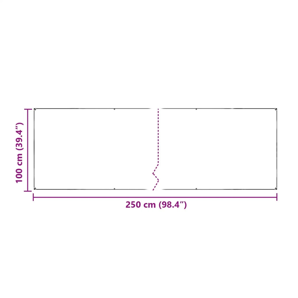 Tarp Trasparente 2,5 x 1 m PE 42038933