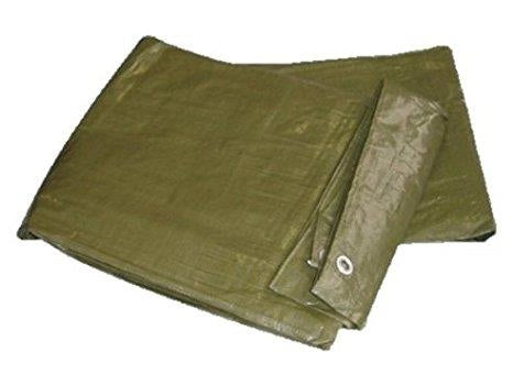 BRIXO TELONE 2X3MT PER COPERTURA IN POLIETILENE LEGGERO OCCHIELLATO ANTISTRAPPO VERDE