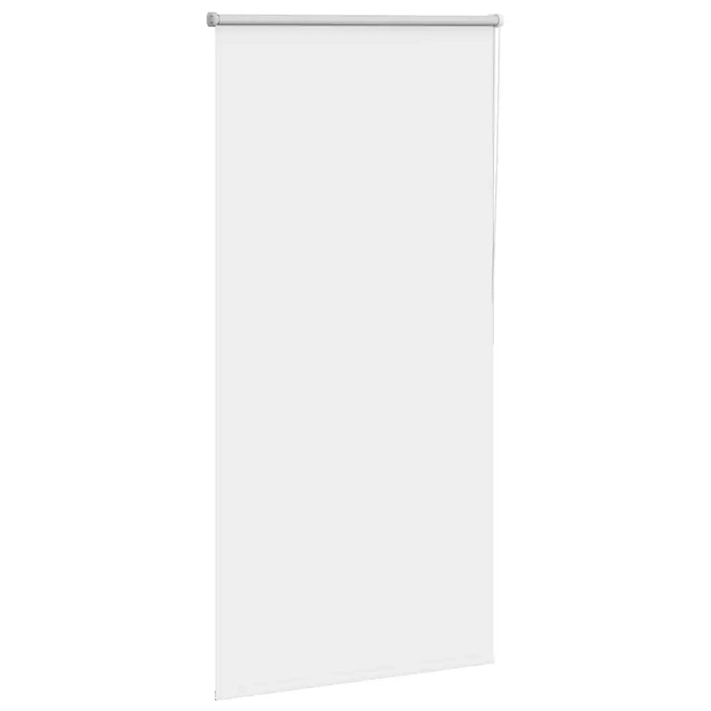 Tenda a Rullo Oscurante-Tenda da sole a rullo 70x150 cm Larghezza Tessuto 65,7 cm 784124