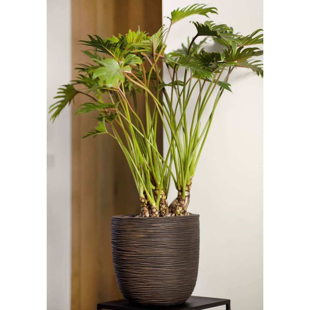 Vaso Rotondo Nature Rib 43x41 cm Marrone Scuro