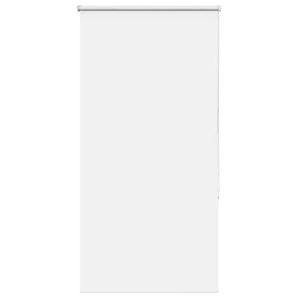 Tenda a Rullo Oscurante 65x150 cm Larghezza Tessuto 60,7 cm 4011901