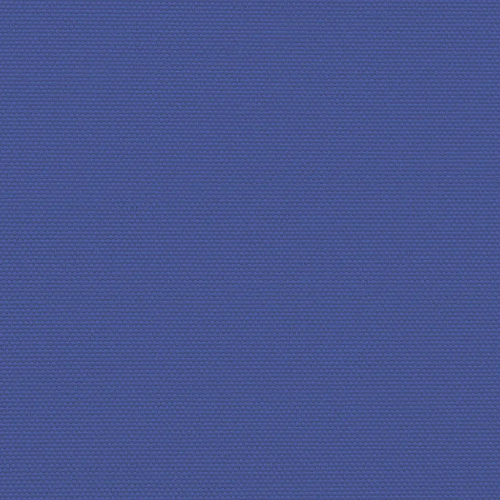 Tenda da Sole Laterale Retrattile Blu 200x1000 cm 4004761