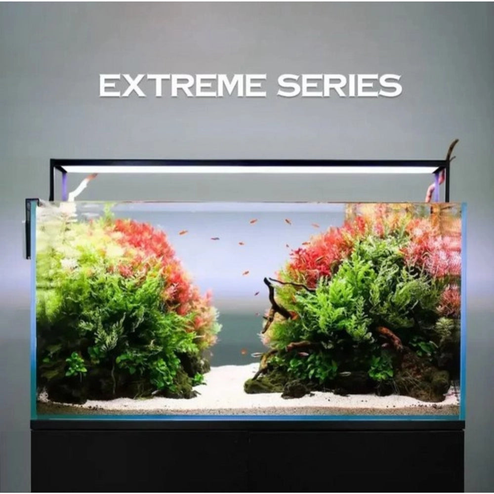 Micmol – Extreme 1200 Planted - programmazione di alba e tramonto