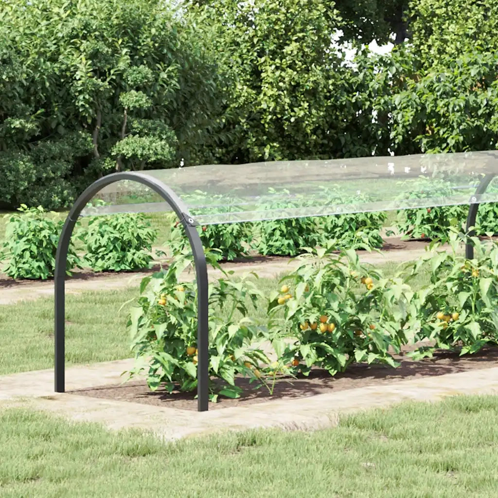 Telone Trasparente con Occhielli 1x6 m in PVC 4018587