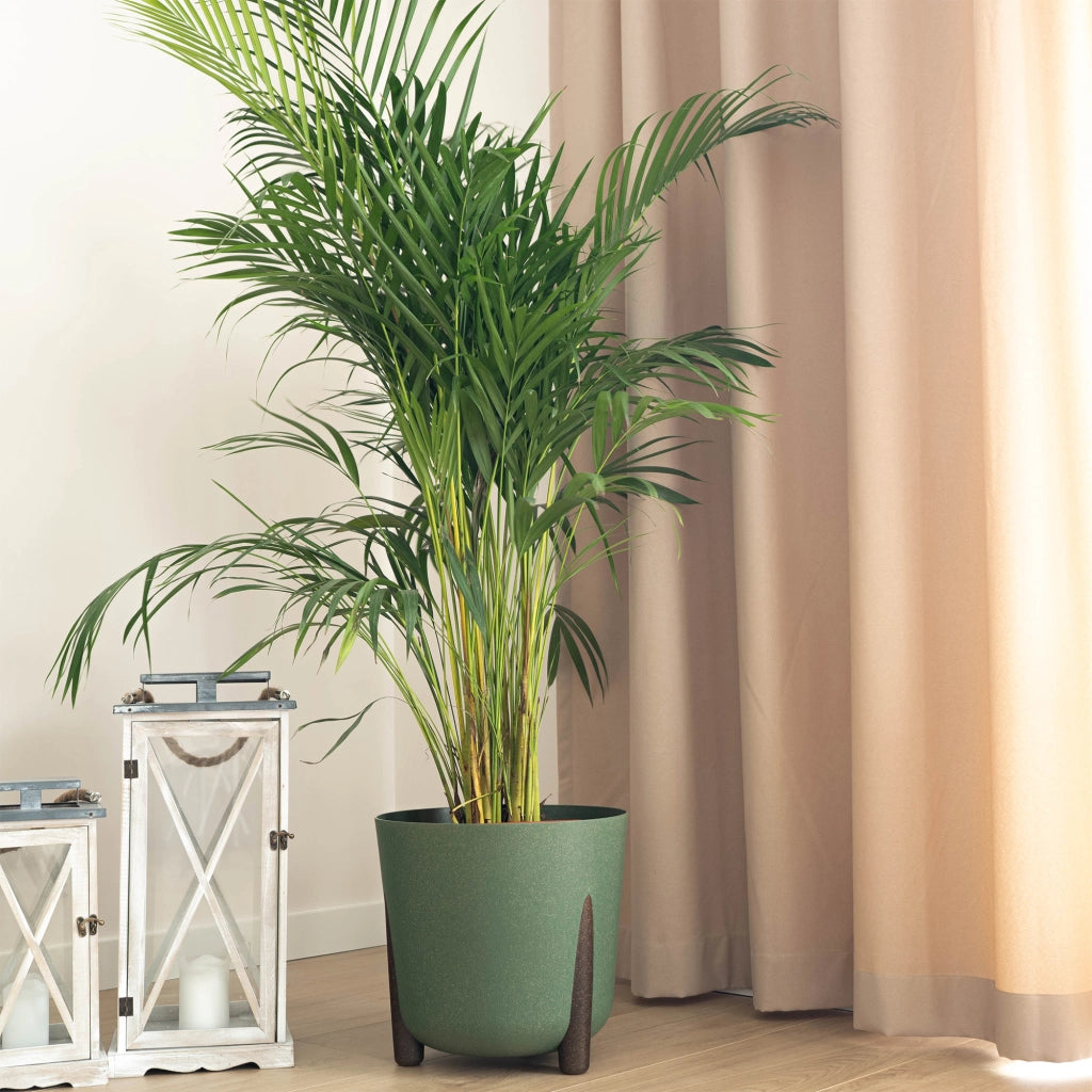 Vaso da fiori KADAX, coprivaso, con gambe, con inserto, moderno, verde, 18 cm