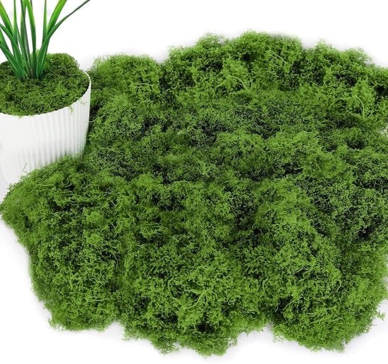 Decorazione con Mosso di Nylon - 100 g - Microlandschaft Decorativo - Decorazione per Knutselen - Mosso Isolecchio - Decorazione con Microlandschaft