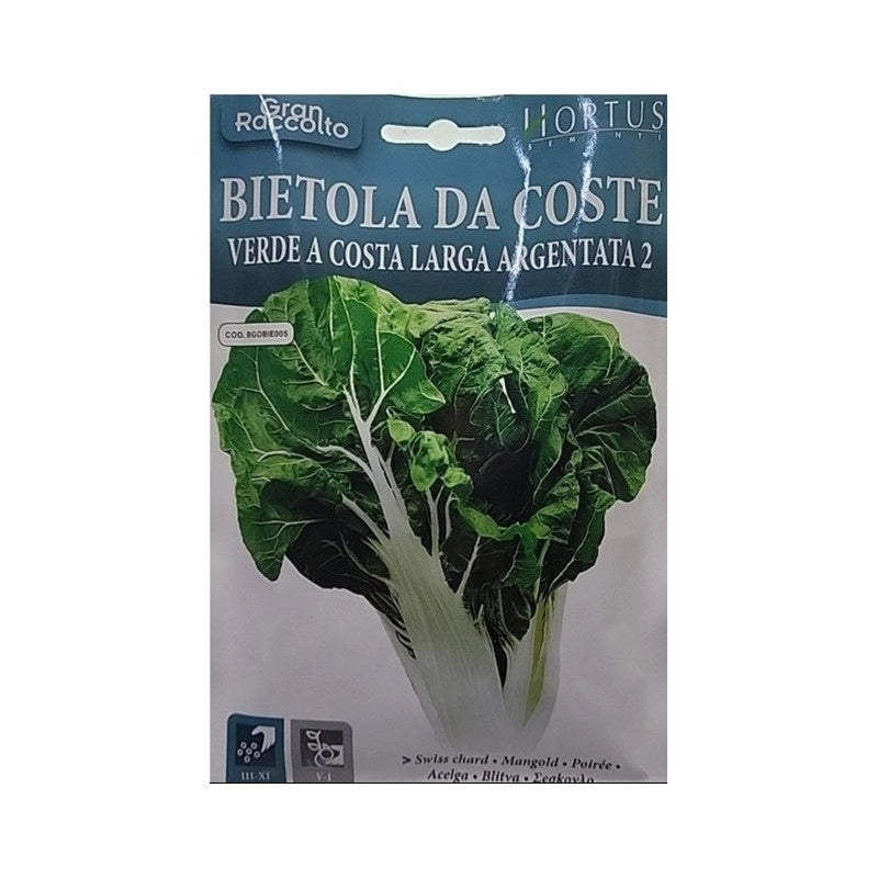 Bietola da Coste verde Costa Lunga Argentata 2 Gran Raccolto