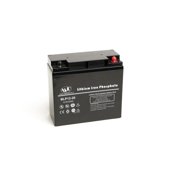 BATTERIA AGM - GEL BE12015CY-F 12 V 15 Ah
