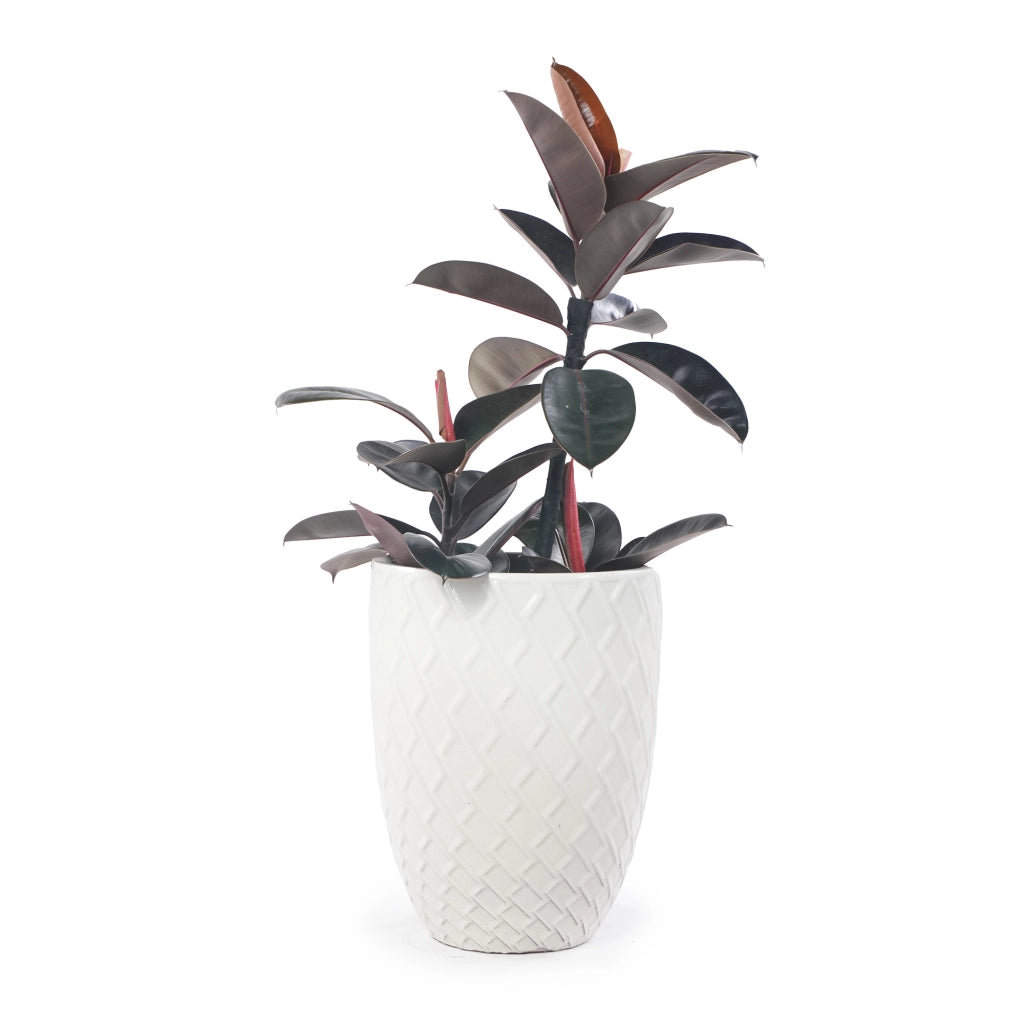 Großer Handgefertigter Keramik Pflanztopf 42 cm x 54 cm – Glänzend Weiß mit Rautenmuster, Atmungsaktiv & Frostsicher