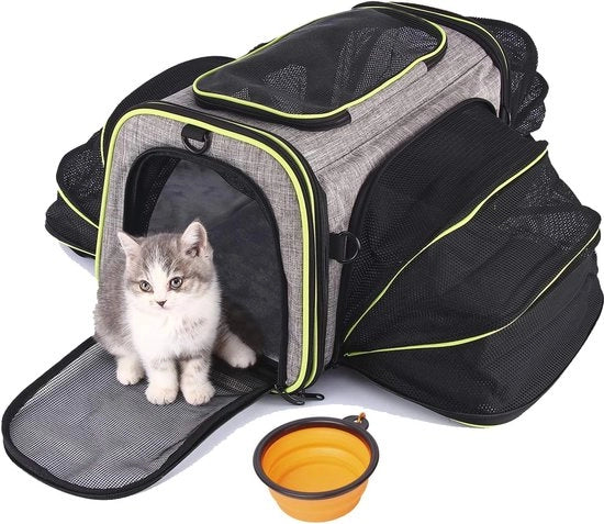 Portatile e pieghevole trasportino per cani e cuccioli