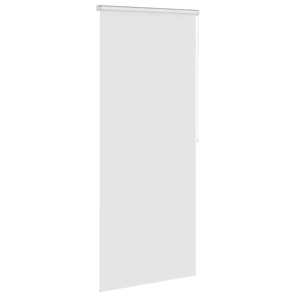 Tenda a rullo | Tenda avvolgibile per Doccia 100x240 cm Bianco