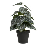 Pianta Artificiale Alexander, Verde, Plastica, 21x20x33 cm