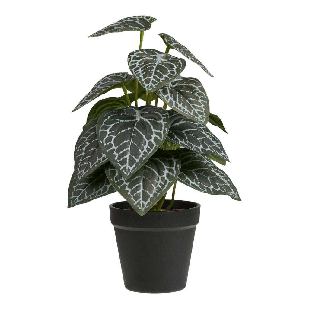 Pianta Artificiale Alexander, Verde, Plastica, 21x20x33 cm