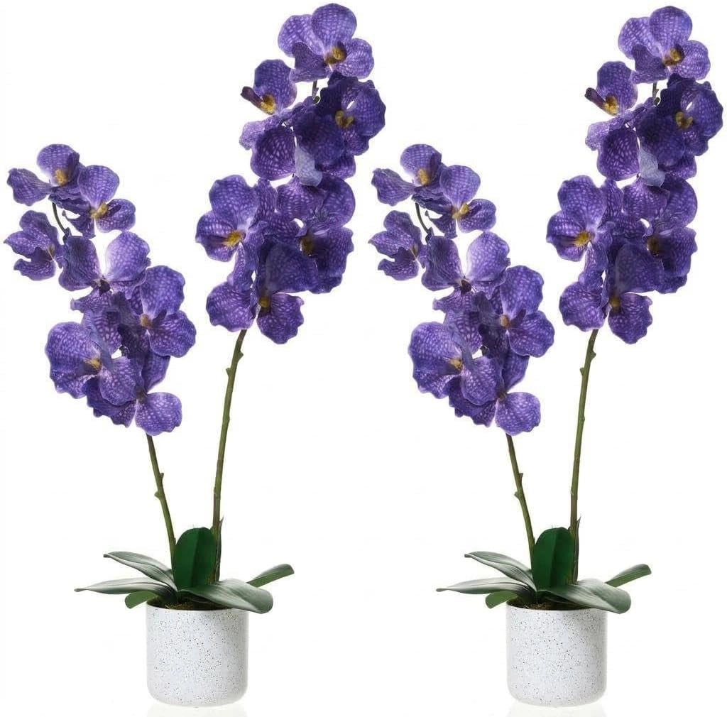 Set 2 Piante di Magnolia Artificiale 80 cm con Fiori in Vaso per Interni