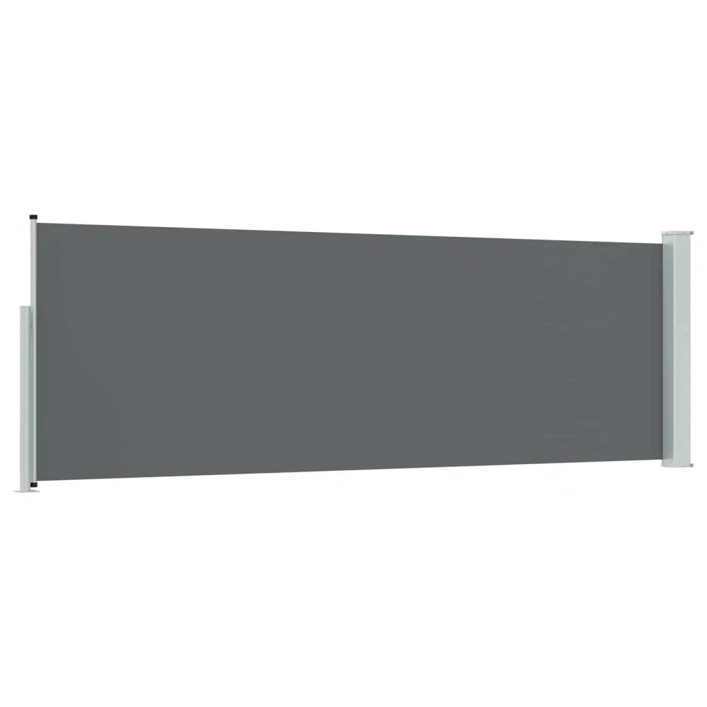 Tenda da Sole | Tenda laterale retrattile Antracite 300 x 100 cm Poliestere