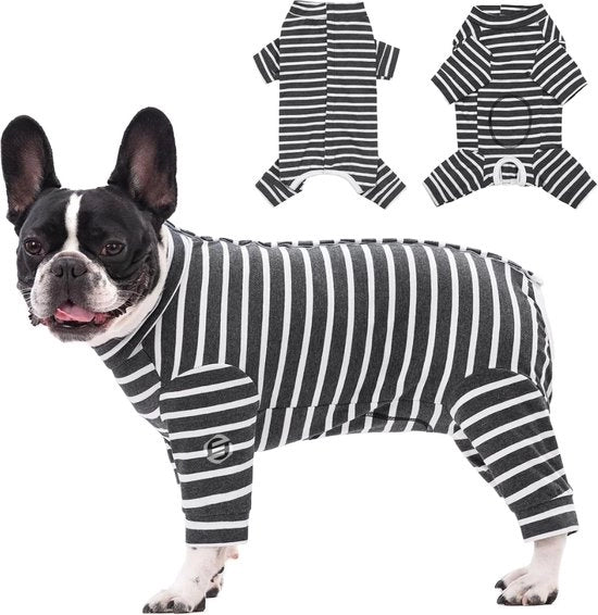 Vestiti da Notte per Cani
