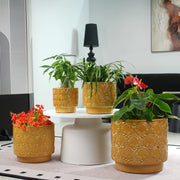 Vasi da fiori in ceramica 4 pezzi con foro di drenaggio finitura gialla lucida rilievo a cuore per interno e esterno protetto